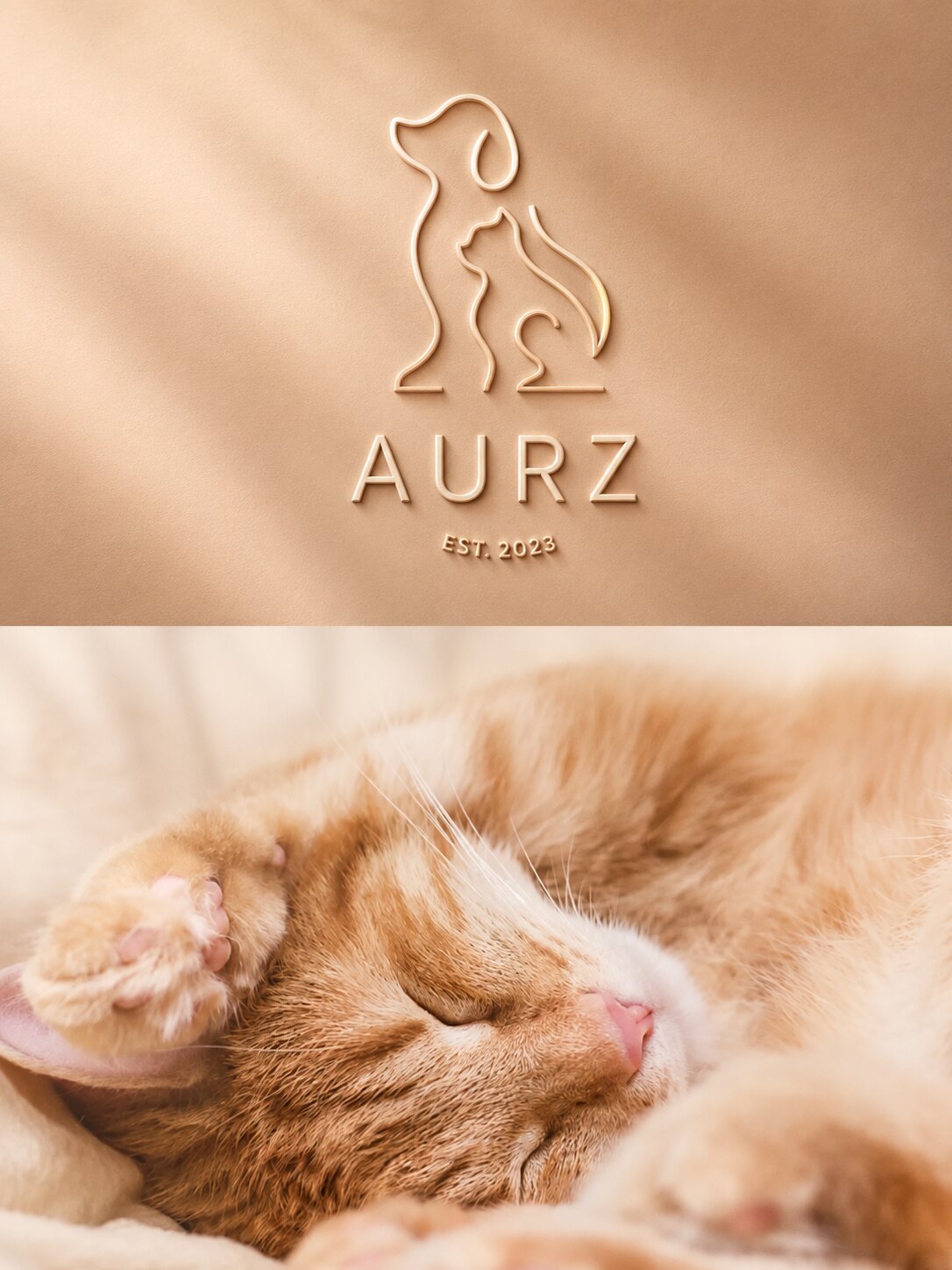 AURZ 寵物品牌形象設計